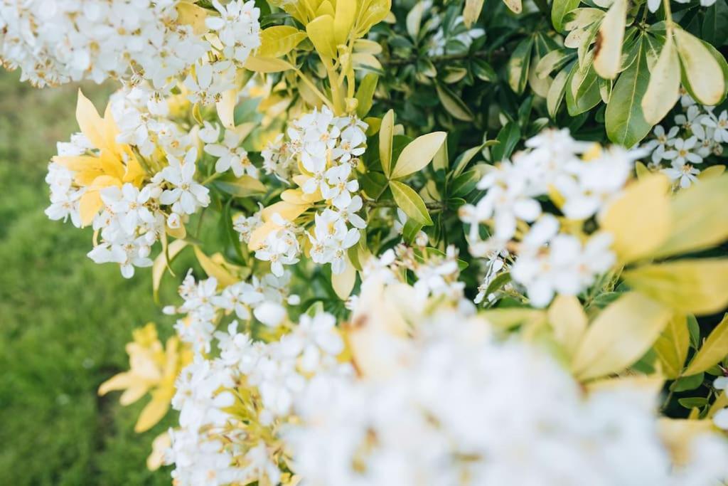 Вилла Le Beaumont • La Belle Campagne • La Plenitude Deols Экстерьер фото